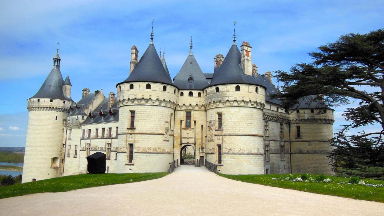 La Casa D'Olianna - Jolie Maison / Jeux / Grand Jardin Villeny エクステリア 写真